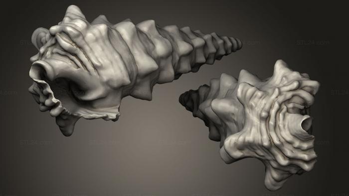 Камни и ракушки (ROCKS_0026) 3D модель для ЧПУ станка